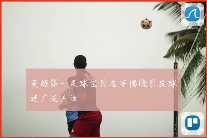 英超第一足球宝贝名字揭晓引发球迷广泛关注