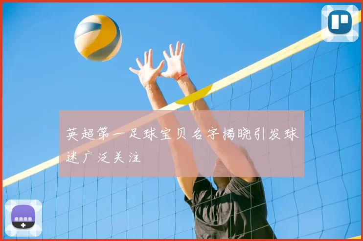 英超第一足球宝贝名字揭晓引发球迷广泛关注